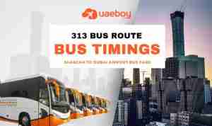 313 Bus Route | Sharjah To Dubai Airport Bus Timings