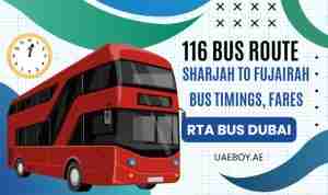 Sharjah to Fujairah Bus Timings