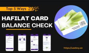 Top 5 Ways to Hafilat Card Balance Check in 2024