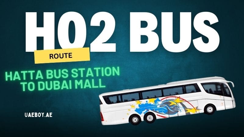 Hatta Bus Stn to Dubai Mall Bus Timings