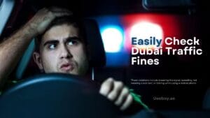 Easily Dubai traffic Fines Check