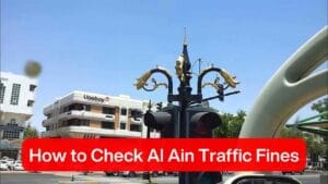 A Complete Guide to Check Al Ain Traffic Fines