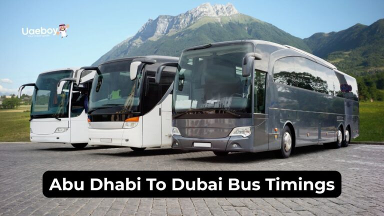 Abu Dhabi To Dubai Bus Timings, E100 Bus Route
