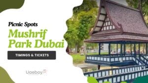 Mushrif Park Dubai Adventure