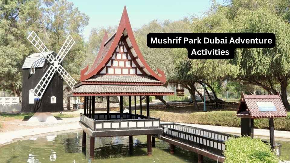 Mushrif Park Dubai Adventure Activities 